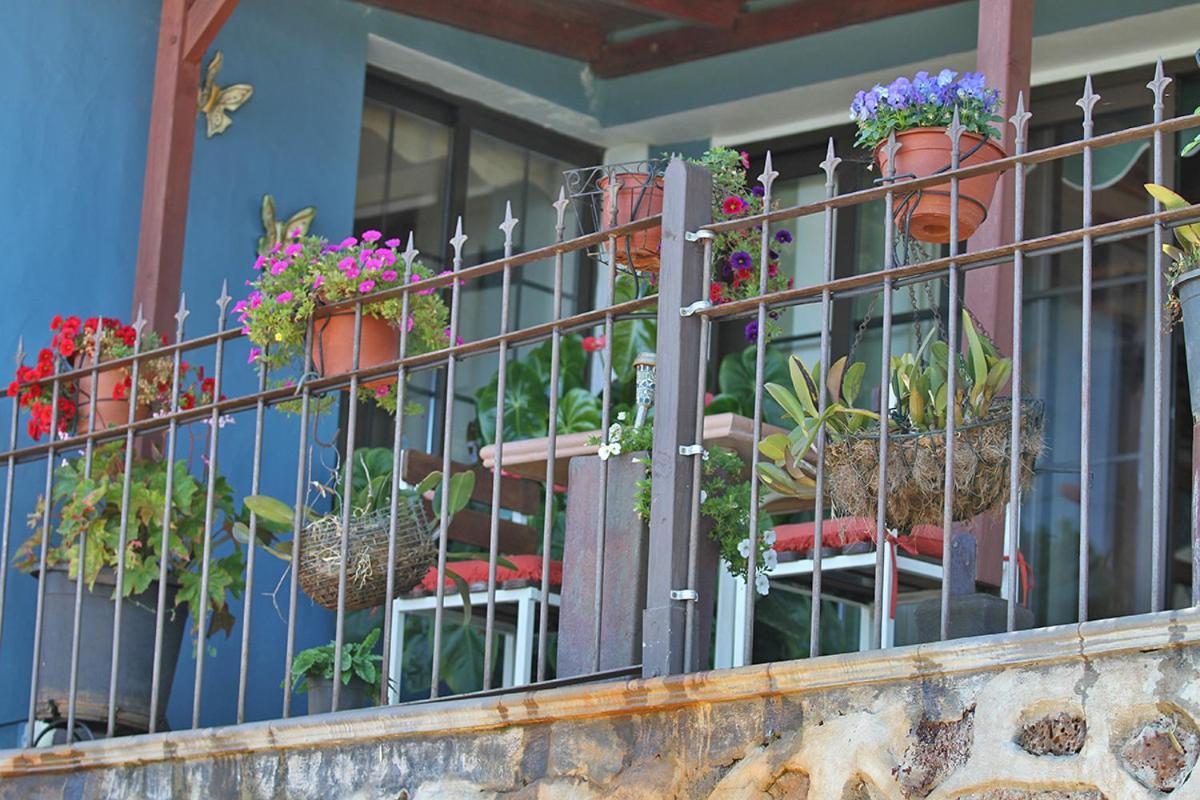 Casa Rosales With Pool & Wifi
